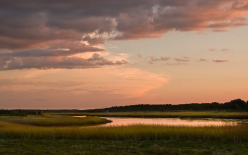 Contemplative Landscape Series