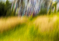 Inspired by Quincy Quarries Reservation