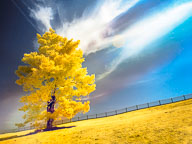 Exploring Infrared Landscape